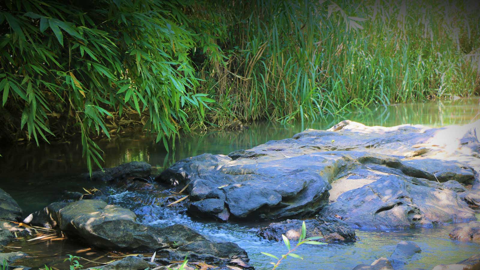 Schoolthota Outdoor river brook 